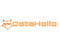 DataHolic