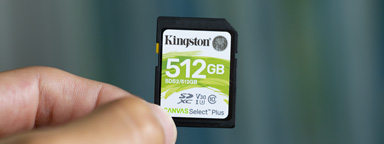 SD card