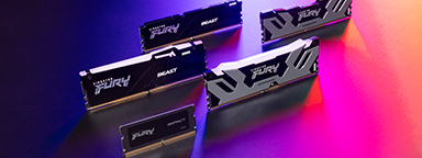 Kingston FURY Overclocking RAM modules