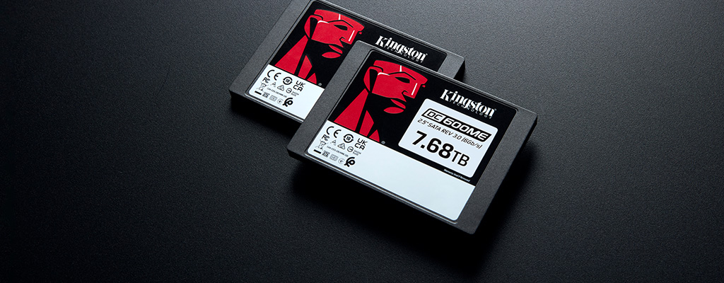 Kingston Server SSDs NVMe SSDs in a server
