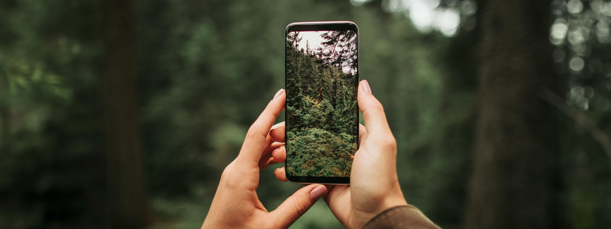 Una mujer sostiene un teléfono que hace una foto de una hermosa vista del bosque.