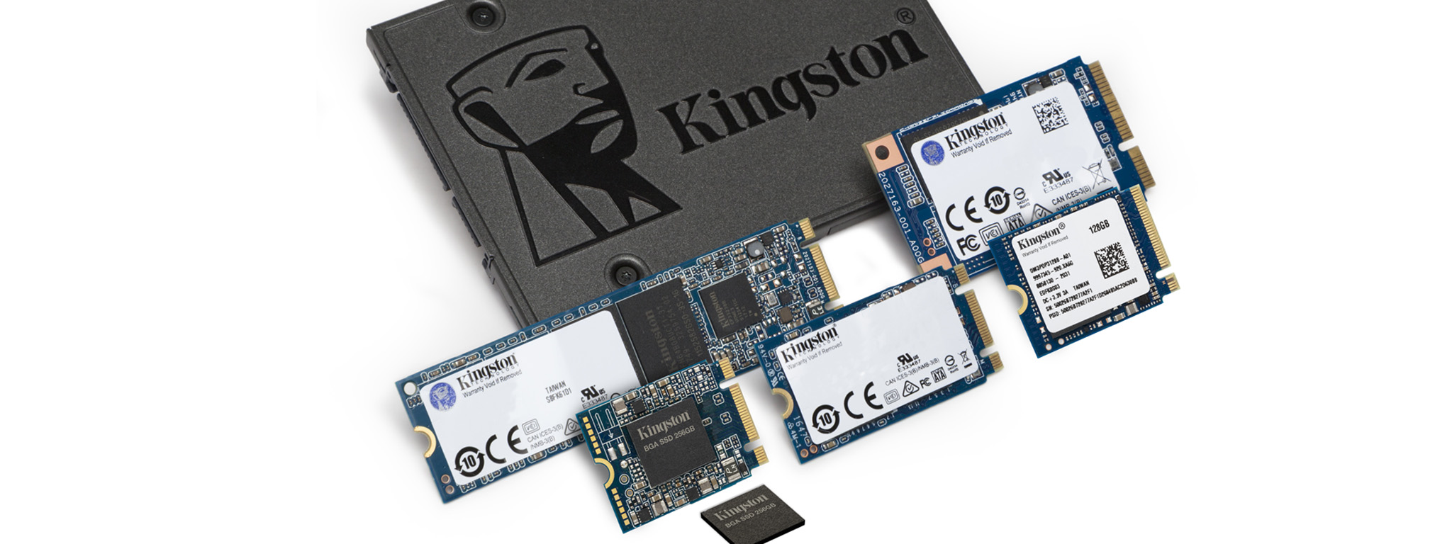 Un SSD SATA, un SSD M.2 2230, 2280 y 2242, dos SSD mSATA y un paquete de SSD BGA